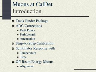 Muons at CalDet Introduction