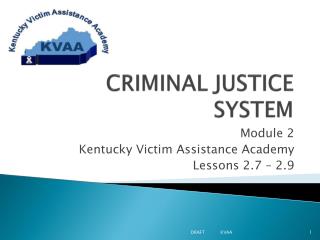 CRIMINAL JUSTICE SYSTEM