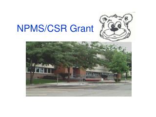 NPMS/CSR Grant