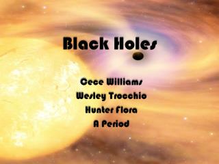 Black Holes