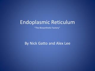 Endoplasmic Reticulum