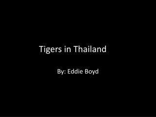 Tigers in Thailand