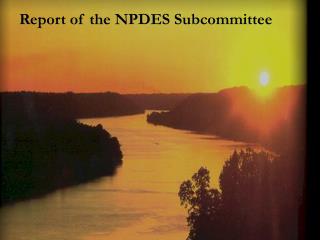 Report of the NPDES Subcommittee