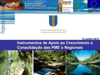Instrumentos de Apoio ao Crescimento e Consolidação das PME´s Regionais