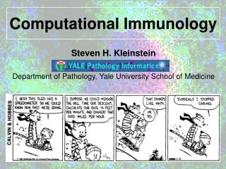 Computational Immunology