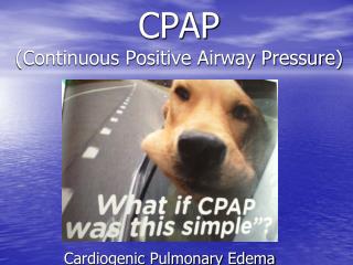 CPAP (Continuous Positive Airway Pressure)