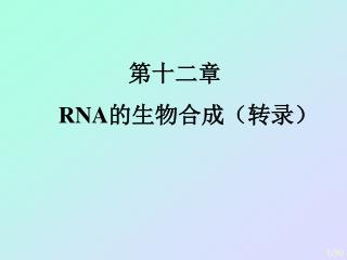 第十二章 RNA 的生物合成（转录）