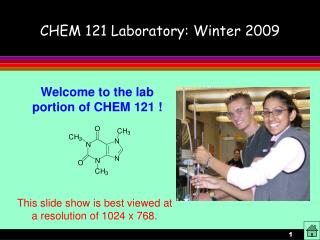 CHEM 121 Laboratory: Winter 2009