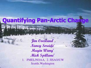 Quantifying Pan-Arctic Change