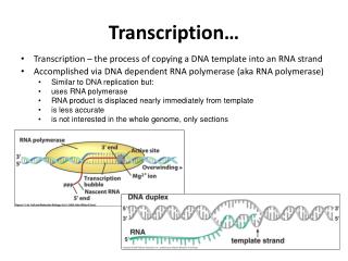 Transcription…