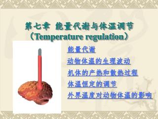 第七章 能量代谢与体温调节 （ Temperature regulation ）