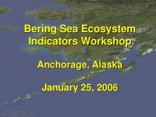 Bering Sea Ecosystem Indicators Workshop Anchorage, Alaska January 25, 2006