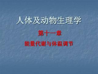 人体及动物生理学 第 十一 章 能量代谢与体温调节