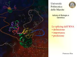 Università Politecnica delle Marche Istituto di Biologia e Genetica