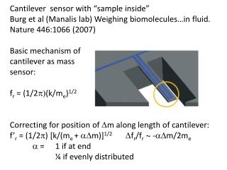 Cantilever sensor with “sample inside”