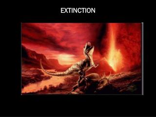 EXTINCTION