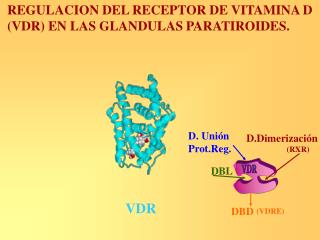 VDR