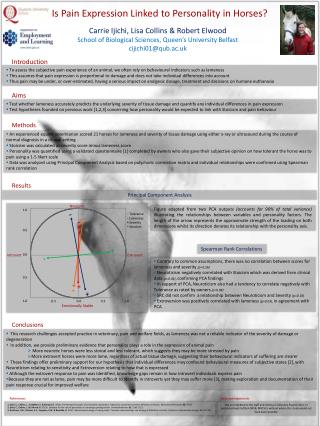 I s Pain Expression Linked to Personality in Horses?