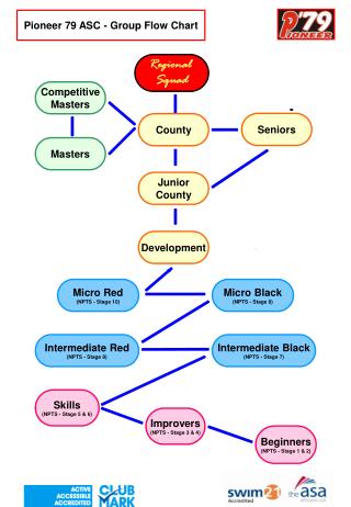 Pioneer 79 ASC - Group Flow Chart