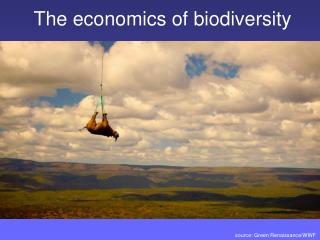 The economics of biodiversity