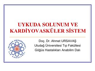 UYKUDA SOLUNUM VE KARDİYOVASKÜLER SİSTEM