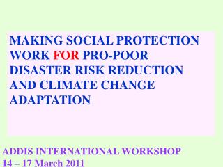 ADDIS INTERNATIONAL WORKSHOP 14 – 17 March 2011