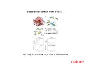 CES Tooley et al . Nature 000 , 1 - 4 (2010) doi:10.1038/nature0 9343