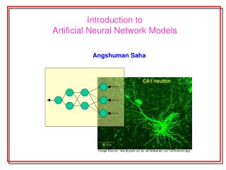 Image Source: ww.physiol.ucl.ac.uk/fedwards/ ca1%20neuron.jpg