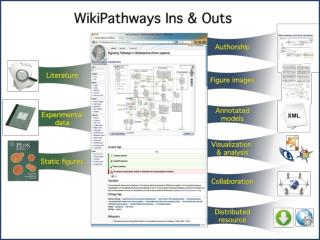 wikipathwaysintro