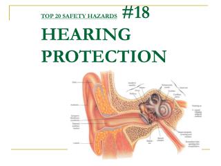 TOP 20 SAFETY HAZARDS #18 HEARING PROTECTION