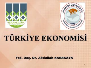TÜRKİYE EKONOMİSİ