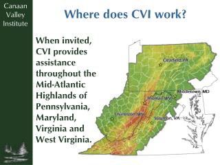 Where does CVI work?