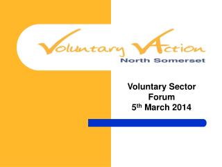Voluntary Sector Forum 5 th March 2014