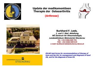 Update der medikamentösen Therapie der Osteoarthritis (Arthrose)