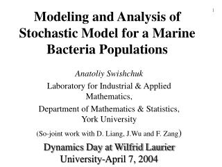 Modeling and Analysis of Stochastic Model for a Marine Bacteria Populations