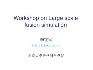 Workshop on Large scale fusion simulation