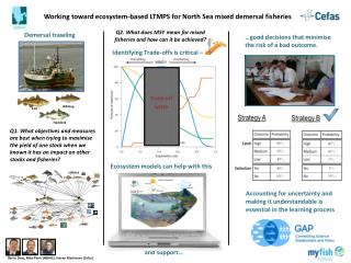 Working toward ecosystem-based LTMPS for North Sea mixed demersal fisheries