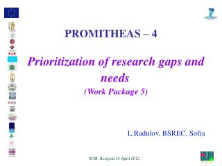 Prioritization of research gaps and needs ( Work Package 5)