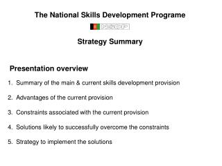 The National Skills Development Programe Strategy Summary