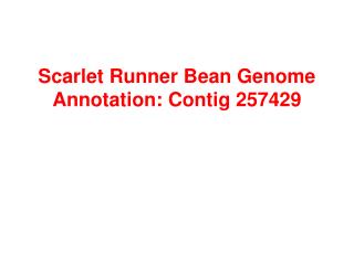 Scarlet Runner Bean Genome Annotation: Contig 257429