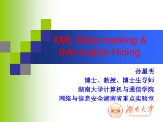 XML Watermarking &amp; Information Hiding