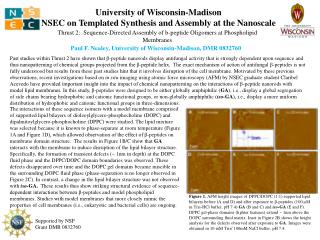 University of Wisconsin-Madison NSEC on Templated Synthesis and Assembly at the Nanoscale