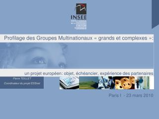 ESSnet on « profiling large and complex MNEs »