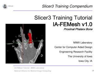 Slicer3 Training Tutorial IA-FEMesh v1.0 Proximal Phalanx Bone