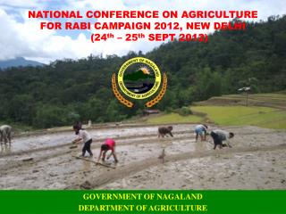 GOVERNMENT OF NAGALAND DEPARTMENT OF AGRICULTURE