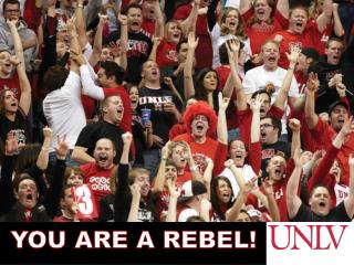 YOU ARE A REBEL!