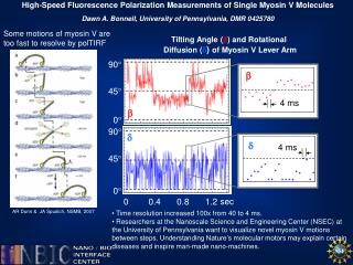 High-Speed Fluorescence Polarization Measurements of Single Myosin V Molecules