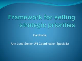 Framework for setting strategic priorities