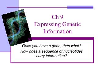 Ch 9 Expressing Genetic Information
