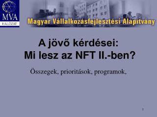 A jövő kérdései: Mi lesz az NFT II.-ben?